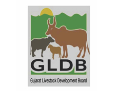 BioAg India Our Partners & Sponsors BioAg India Our Partners & Sponsors